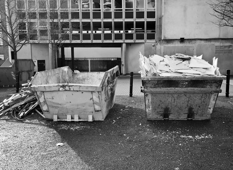 Southwark garden with neatly removed waste